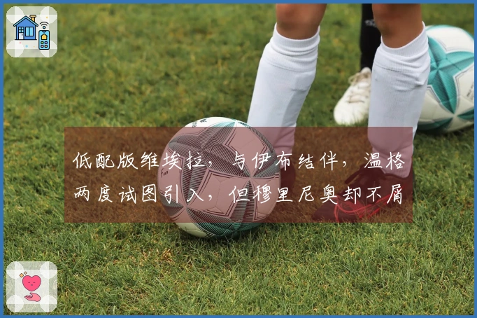 低配版维埃拉，与伊布结伴，温格两度试图引入，但穆里尼奥却不屑一顾