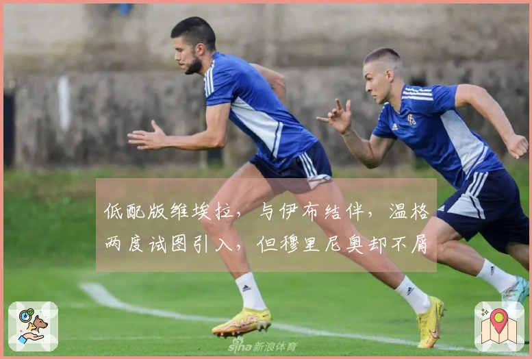 低配版维埃拉，与伊布结伴，温格两度试图引入，但穆里尼奥却不屑一顾