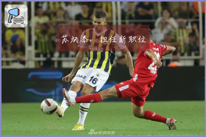 苏炳添，担任新职位